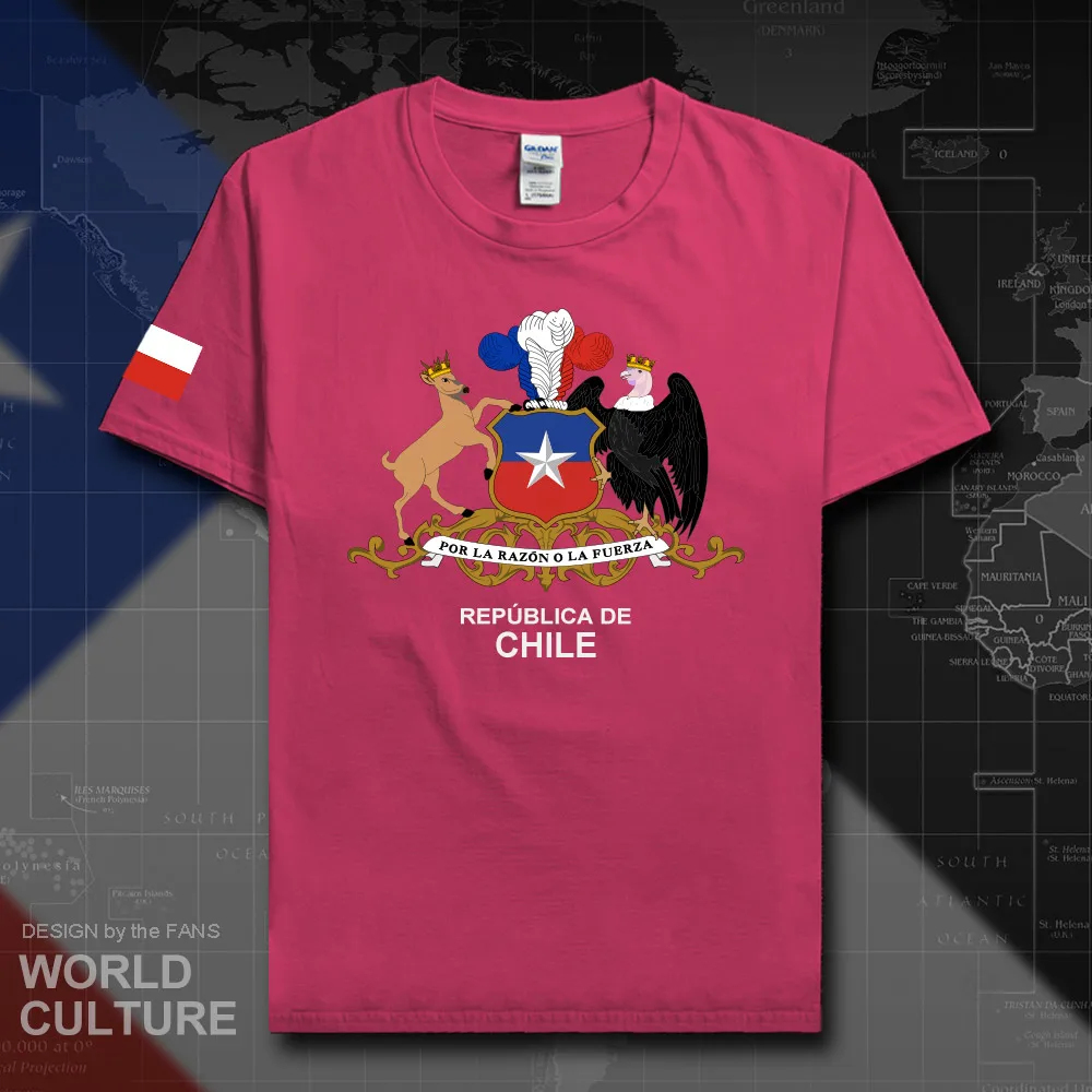 HNAT_Chile20_T01heliconia