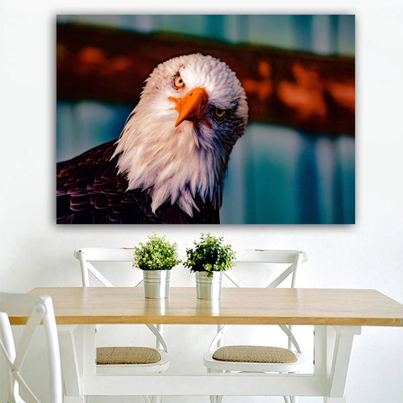 eagle3