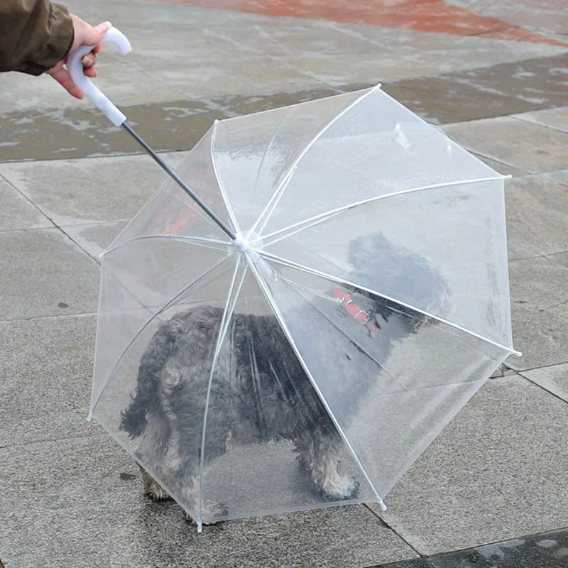 Innovador pet dog paraguas transparente de pvc lluvia suministros recorrido aire libre|supplies auto|umbrella foldableumbrella brand - AliExpress