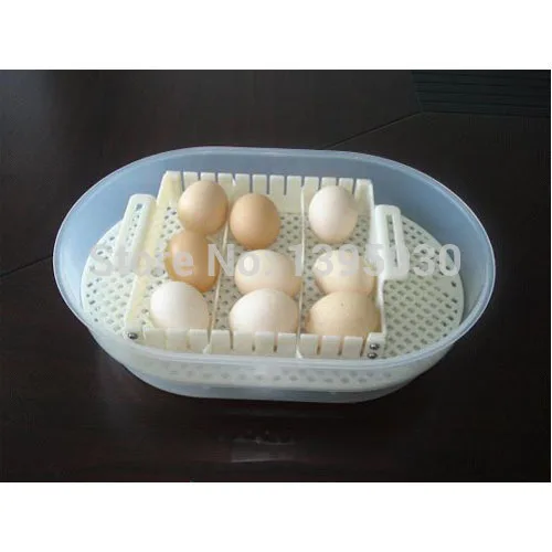 1pc JN12 Mini Automatic digital egg incubator hatcher brooder Small automatic 110/220V | Дом и сад