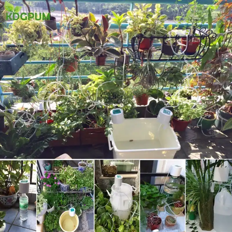Intelligent Garden Automatic Watering Device Succulents Plant Drip