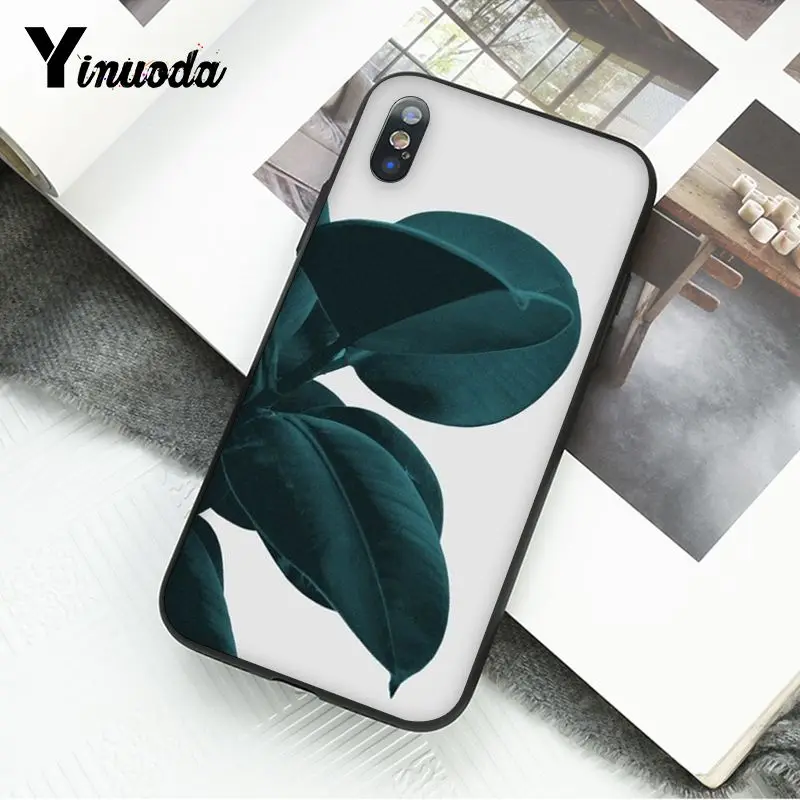 Summer Palm Leaf Banana Leaf Flowers Plants