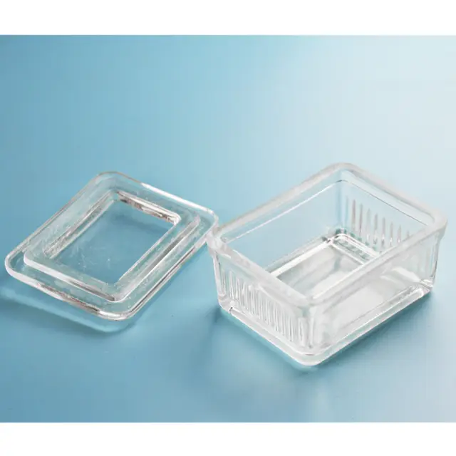 Laboratory Glass Coplin Staining Jar With Cover,20 Slides Typein Petri