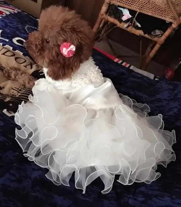Beste Verschillende Luxe Prinses Hond Bruiloft Jurk Kat Jurk Puppy Rok kleding Huisdier Tutu Rok Bruid Kostuum Levert XS tot 4XL