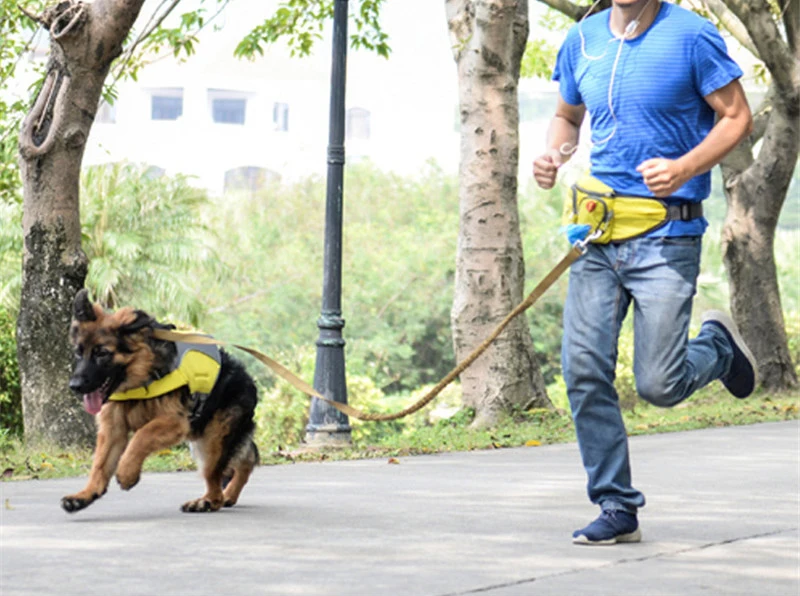 pet carrier 07