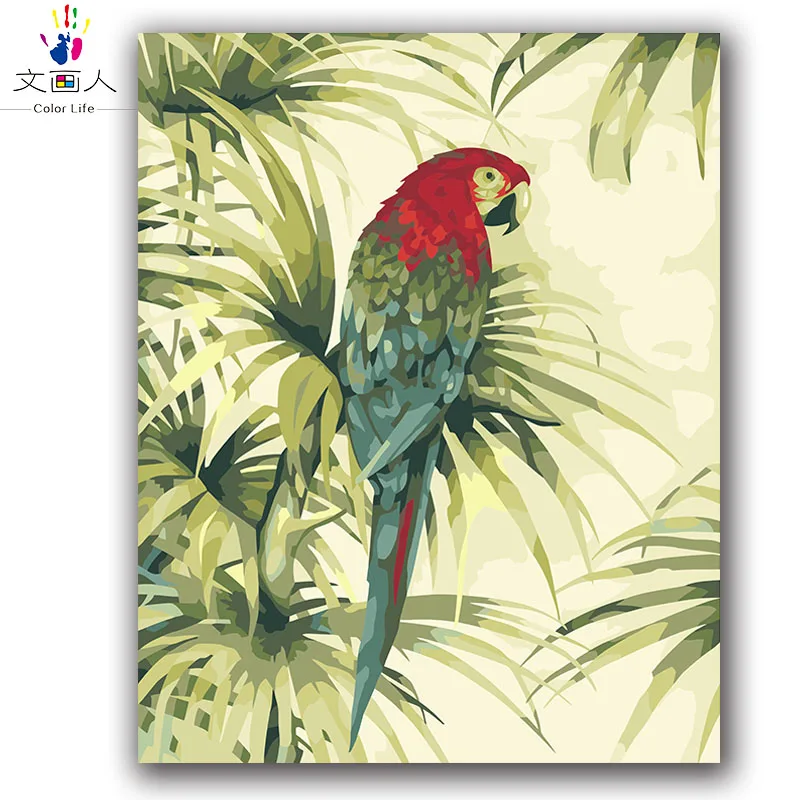 

Paints by numbers Parrot with red head macaw picture painting coloring by numbers with kits for adults wedding gift hoom decor