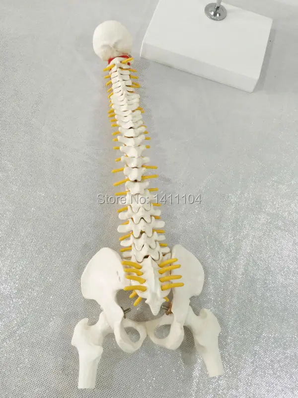 IMG_1266