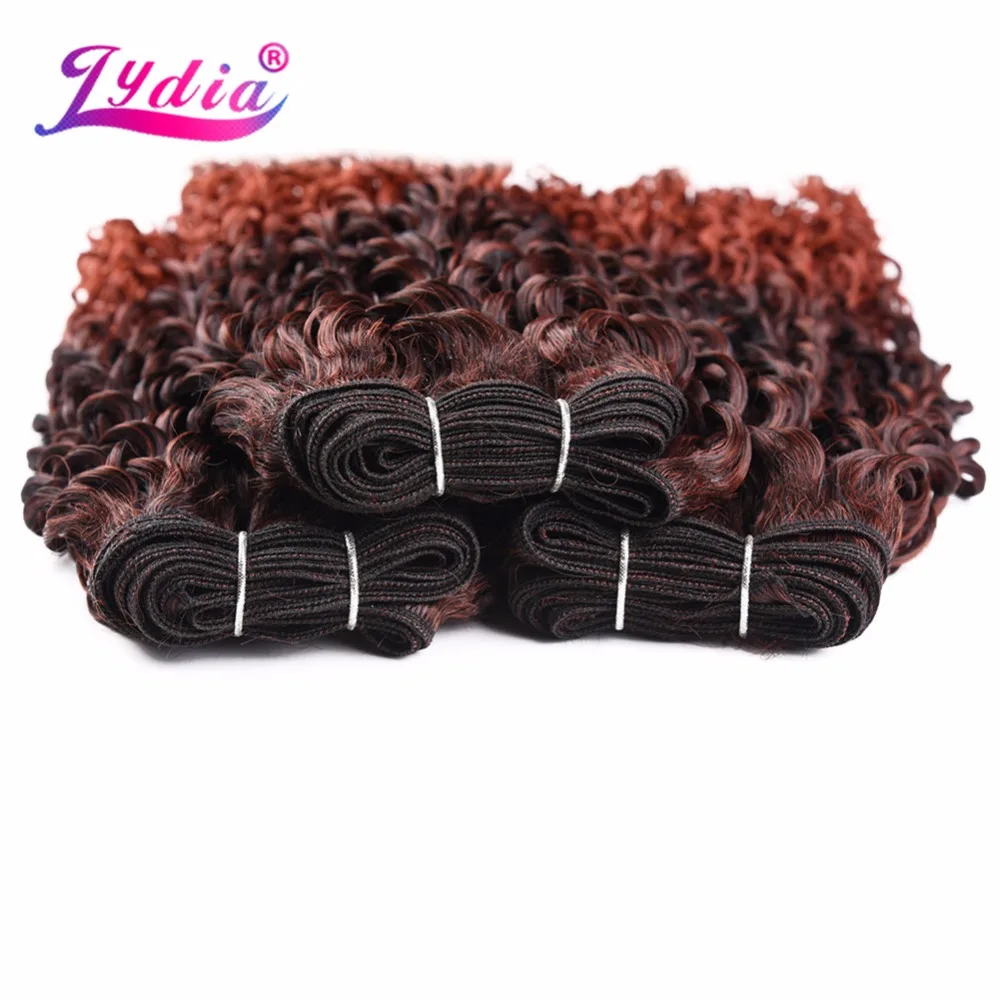 Lydia Two-Tone Ombre Color Synthetic Hair Bundles Curly Wave 10-24 Inch 3PCS/Lot Hair Extension No Shedding