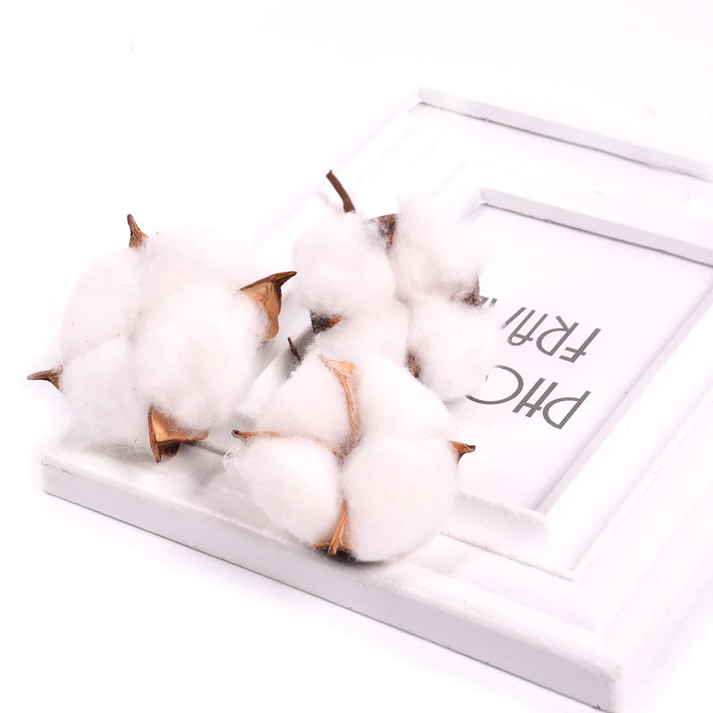 HTB1KT1wXIfrK1Rjy1Xdq6yemFXam