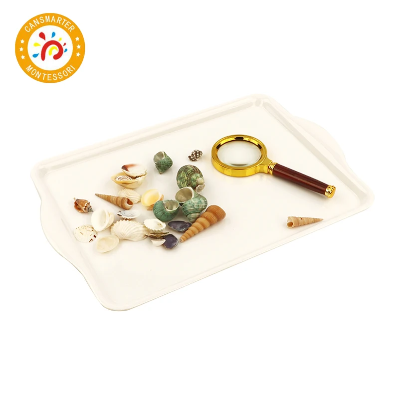  Montessori Material Explore Beech and Shells Daily Life Children Toy Teaching Aids Tray Magnifier - 4000026150558