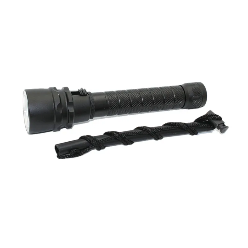 DL000201