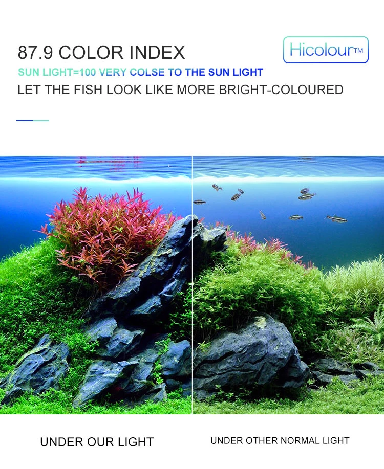 HTB1joDWSpXXXXcAXVXXq6xXFXXXN