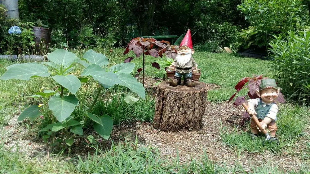 HTB1zcbnSXXXXXXEaFXXq6xXFXXXE