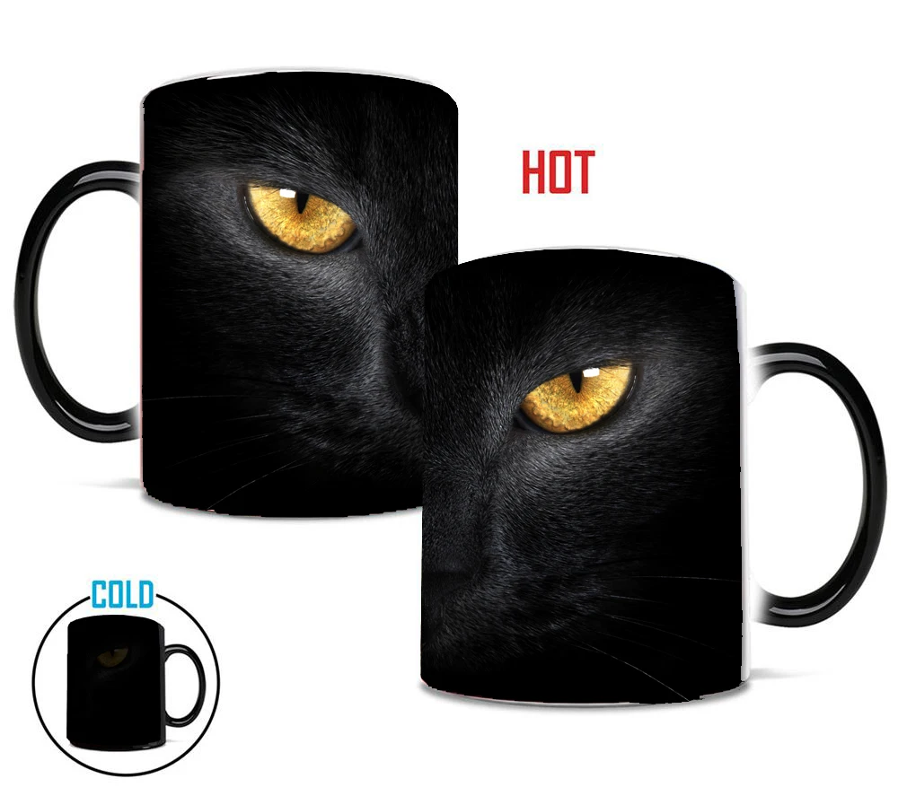 cat4