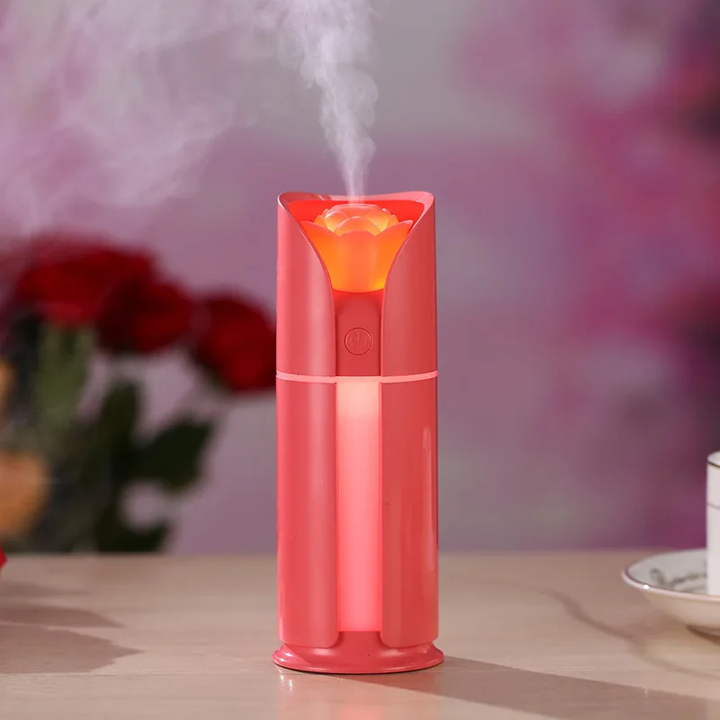 facial steamer6