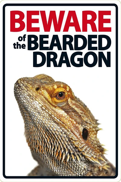 Beware of The Rabbit Plaque Vintage Metal Tin Signs Home Bar Pub Office Decorative Plate Rat Wall Sticker Garden Art Poster MN11 K