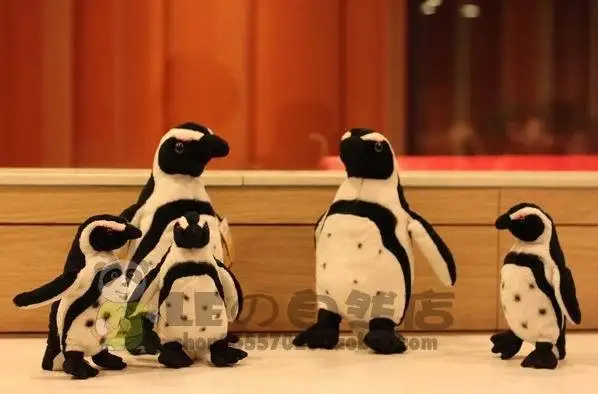 african penguin plush