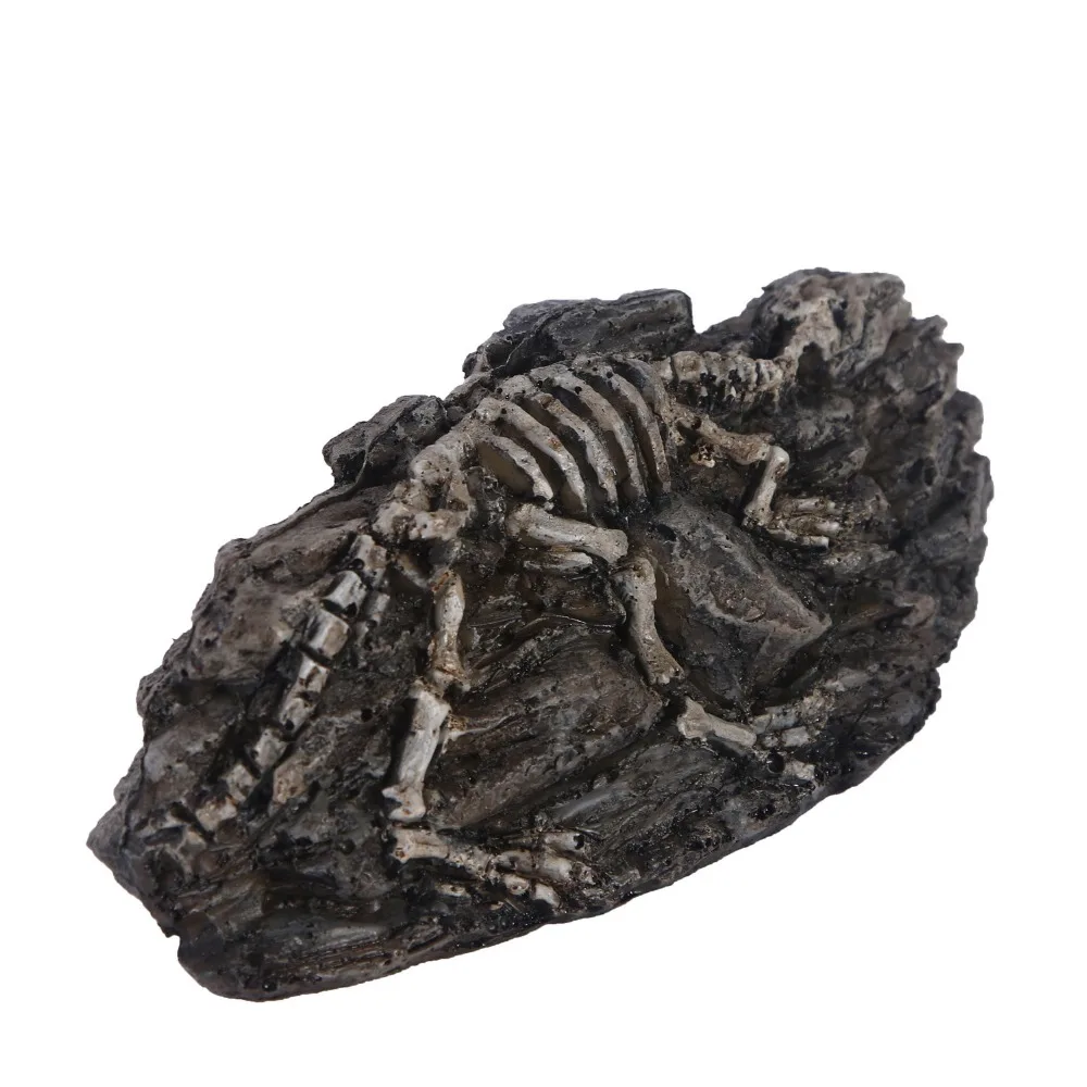 

Jurassic Park Animal Dinosaur Fossil Skull fancy Creative action figure toys Skeleton model decor collection Aquarium ornaments