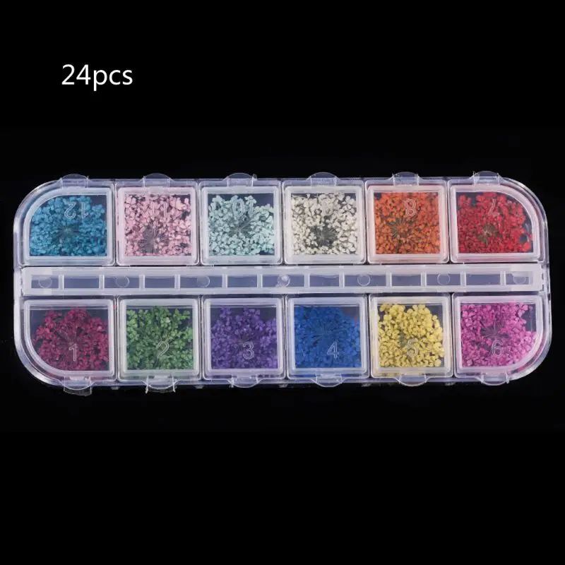 

24Pcs Real Pressed Flower Anne's Lace Dried Flower Nail Art Resin Jewelry Making