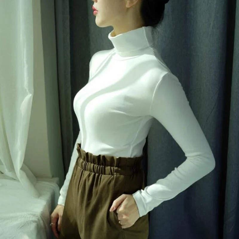 Winter Warm Pullover Sweaters Women Long Sleeve Turtleneck Jumpers Top Soft Cotton Tee Pull Femme | Женская одежда