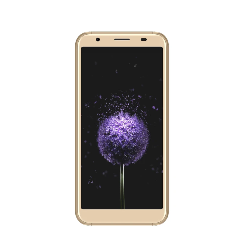 DOOGEE X55 смартфон с 5 дюймовым дисплеем четырёхъядерным процессором MT6580 ОЗУ 1 ГБ ПЗУ