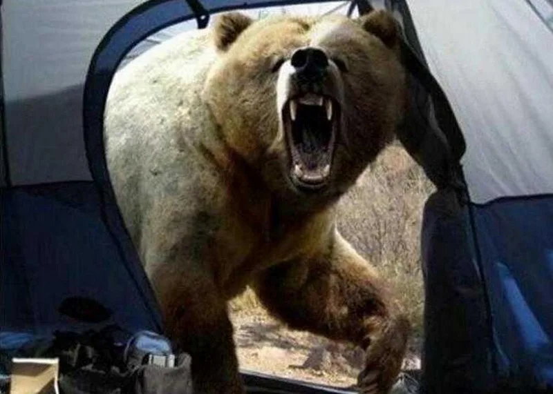 941