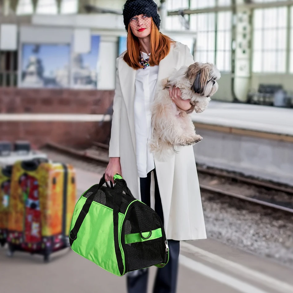 dog travel bag