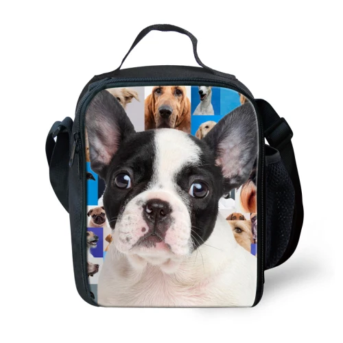Изолированные детские сумки для обедов с животными и собаками для школьников, для мальчиков, для детей, с застежкой-молнией, термо-Ланчбокс, для мужчин, сумка для еды, ланчейра, термика - Цвет: C0226G