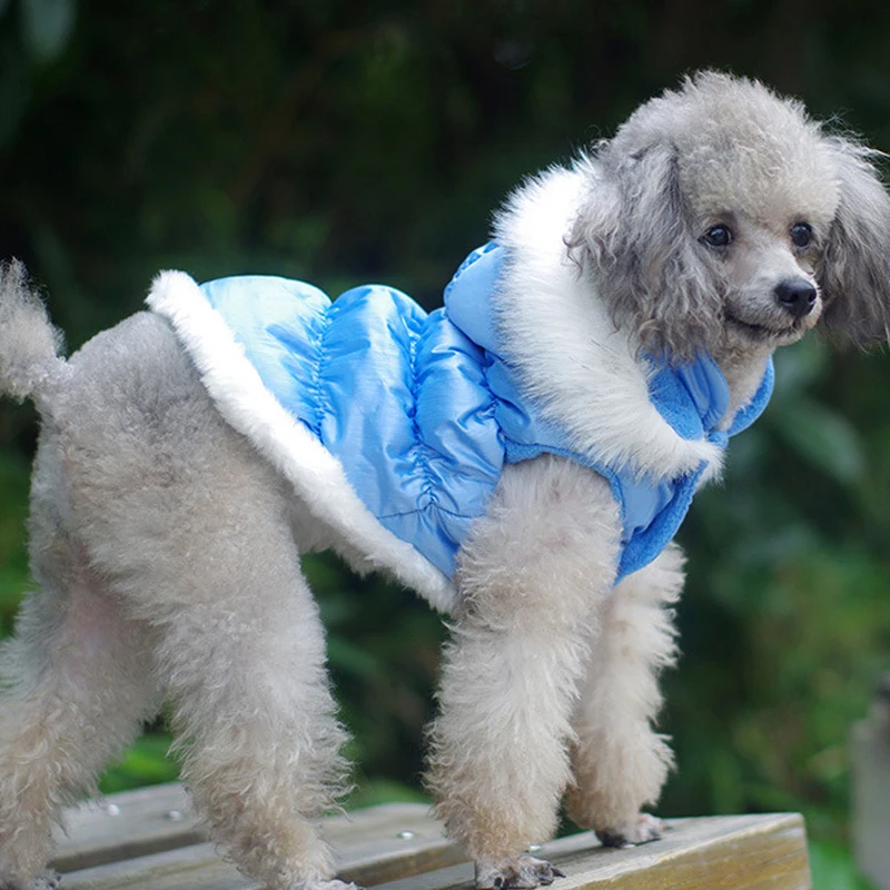 Съемная куртка с капюшоном для собак, зимняя теплая одежда для собак для маленьких собак, утолщенный щенок, домашнее животное, кот, одежда для чихуахуа, мопс, наряд