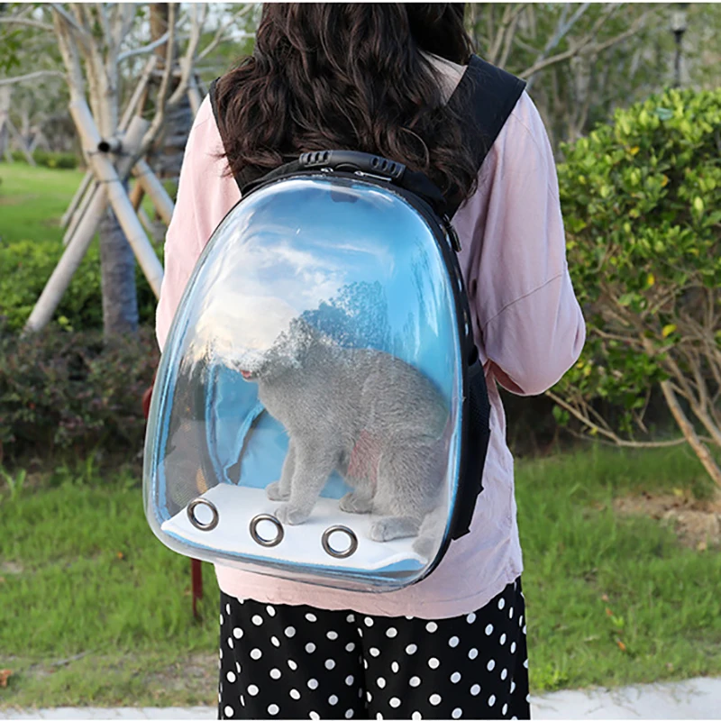 Портативный водонепроницаемый рюкзак для кошек, переноска для домашних животных, прозрачная дышащая сумка с пузырьками, большое пространство, переноска для домашних животных