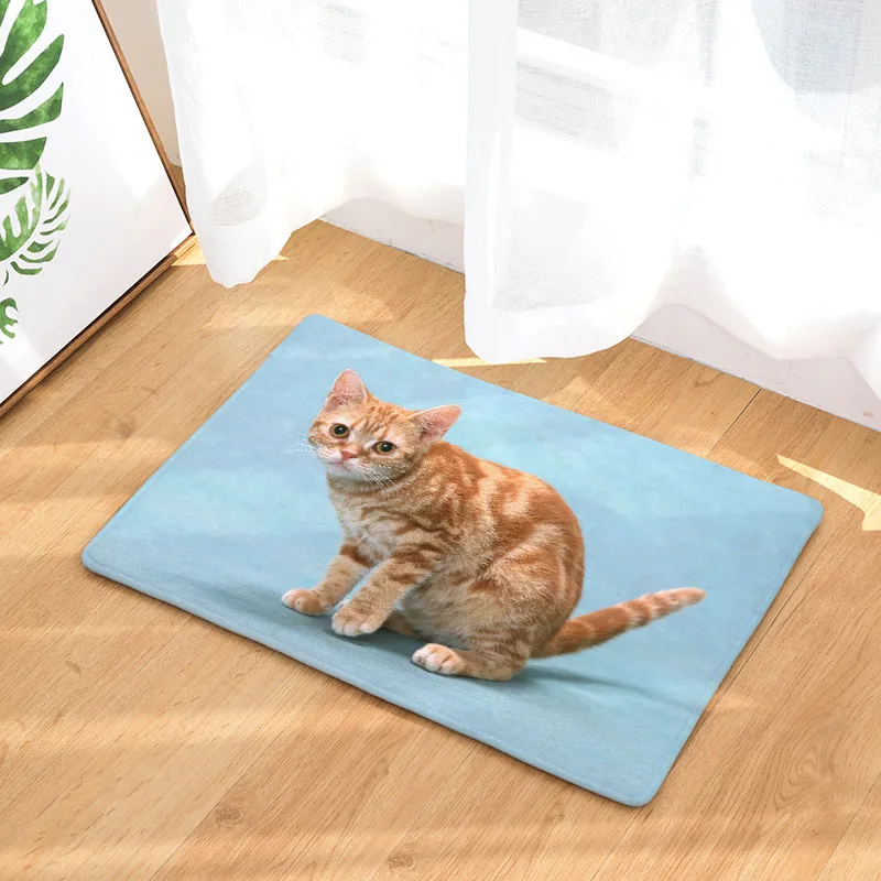 Животное Коричневый персидский кот фото короткошерстная живопись доска лист Открытый коврики крыльцо ковры украсить дом потепление