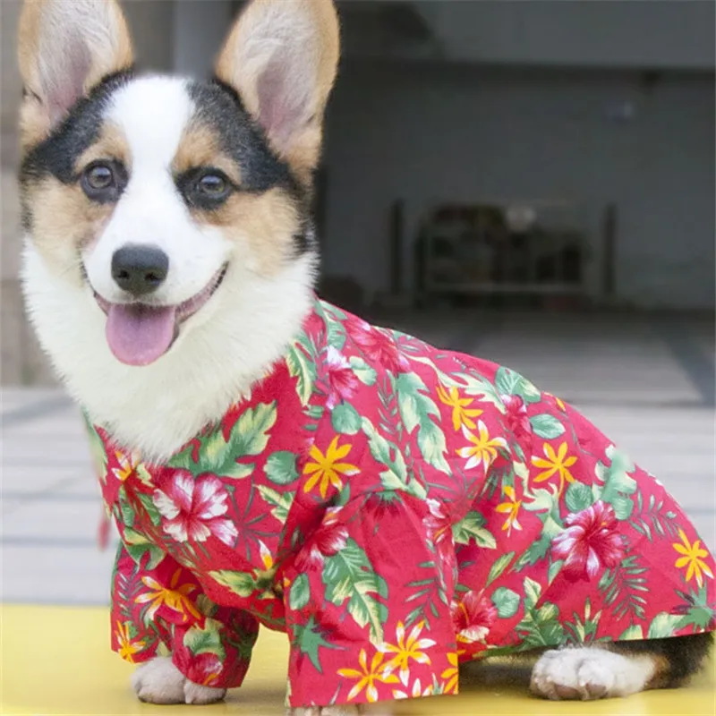 Вельш корги Одежда для собак летняя верхняя одежда для питомца пуделя Бишон Фриз Шнауцер Мопс одежда футболка для собак Французский костюм для бульдога