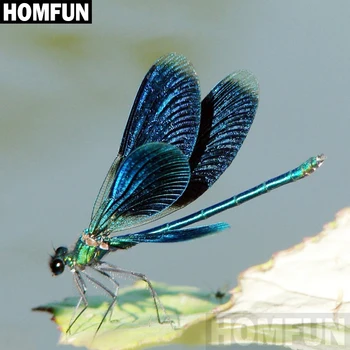 

HOMFUN Full Square/Round Drill 5D DIY Diamond Painting "Dragonfly" 3D Embroidery Cross Stitch 5D Home Decor A00161