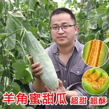 50 шт. свежая высокодоходная реликвия дыни семиллы-супер сладкое-толстое мясо Дыня Фрукты sementes