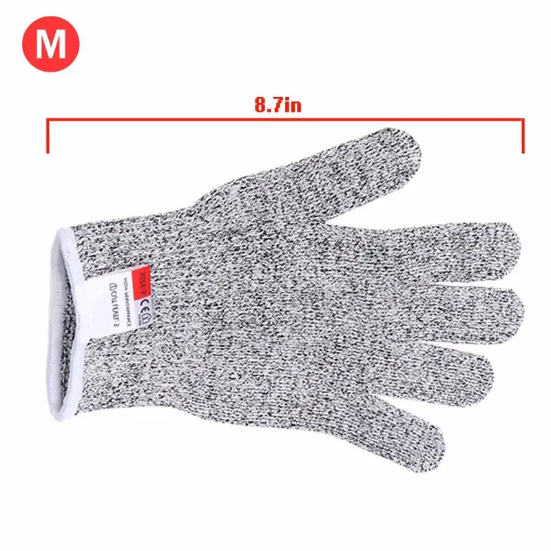 HTB1xfxbSpXXXXXyXXXXq6xXFXXXs