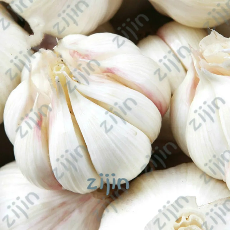 

50Pcs Multi-petals Garlic Bonsai Organic Bonsai Red Healthy Green Vegetable Bonsai For Kitchen Seasoning Food Home Garden