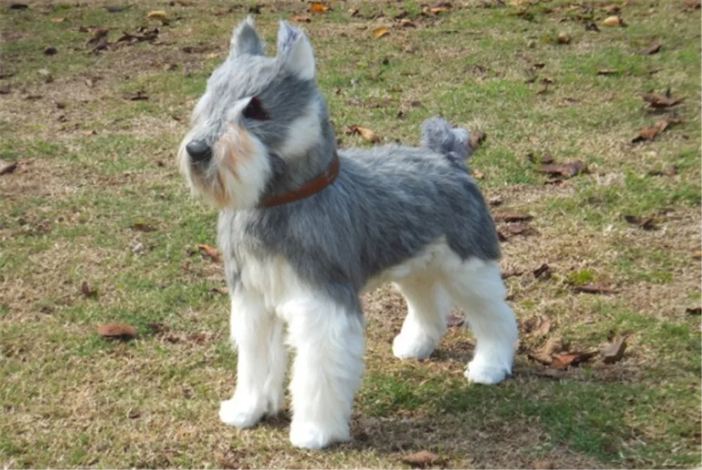 simulated schnauzer plush toy dogs animals kids gift doll1