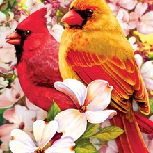 Красная птица DIY живопись по номерам 24 Цвета Пигмент кисть Искусство Ручная роспись креативная цифровая картина маслом