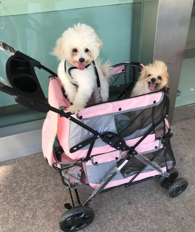 29%, Double-layer Folding Pet Trolley for Puppy Outdoor Portable Four-wheeled Pet Stroller Cat Dog Carrier 25kg Bearing