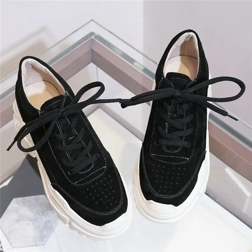 bl6