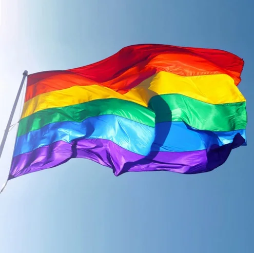 

Gay Friendly Rainbow Flag Banners Pro Lesbian Gay Pride LGBT Flag Polyester Colorful Rainbow Flag For Gay Right Parade 90x150cm