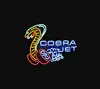 Custom Made Cobra Jet Glass Neon Light Sign Beer Bar