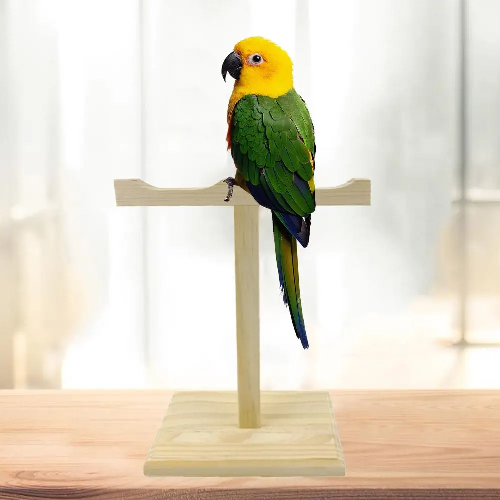 Parrot Square Perch Stand Pole Ladder Bird Climbing Hanging Frame Training Stand Birdcage Accessories