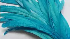 25-30 см черный 1 ярд/Лот Черный Конк с перьями из хвоста петуха бахрома петуха отделка из перьев 10-12 дюймов в ширину для вечерние платья - Цвет: lake blue