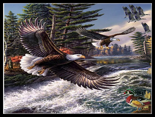 Diamond painting Animal Eagle pictures of diamond pattern beads Kits for embroidery patchwork mosaic icons set strass | Дом и сад