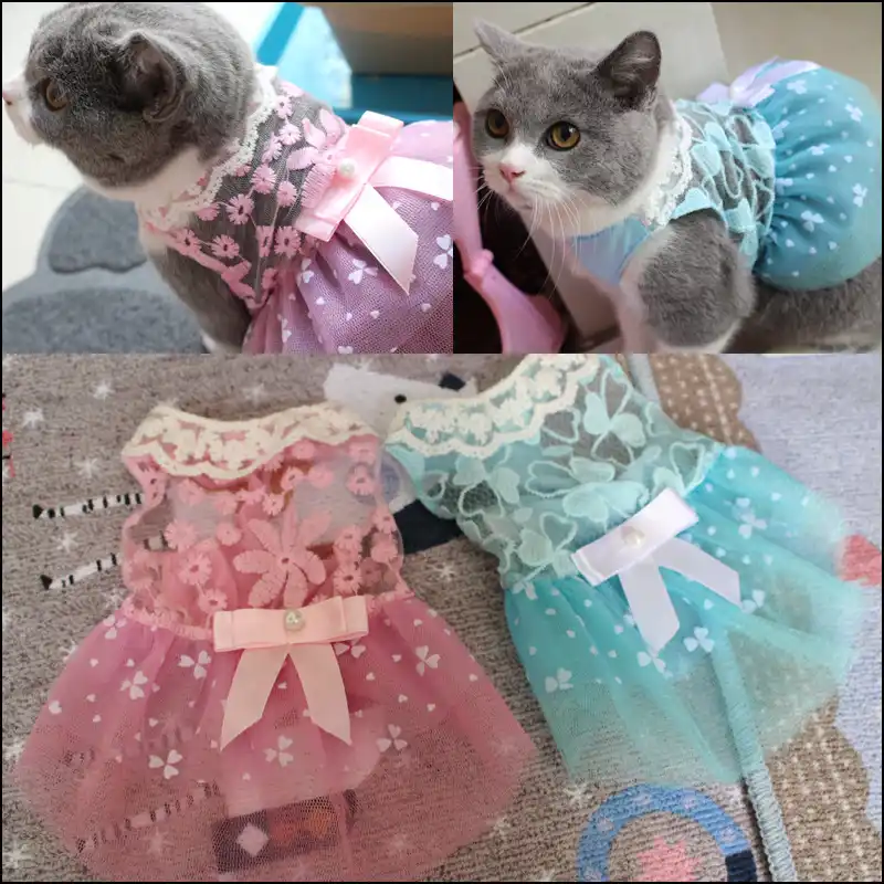 Summer Cute Pet Cat Dress Fashion Lace Cat Clothes for Cats