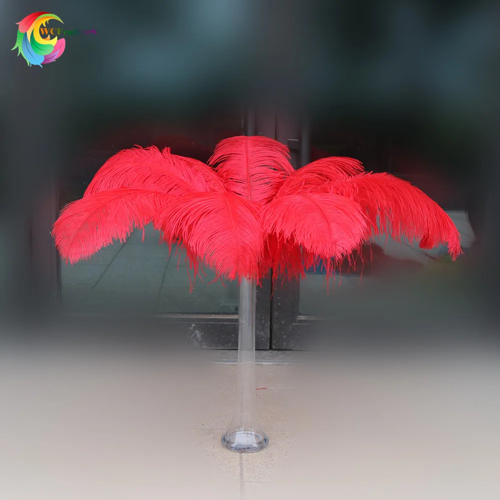 10 шт./лот, высокое качество, цветные страусиные перья, 60-65 см/24-26 дюймов, свадебные, вечерние, карнавальные украшения - Цвет: red