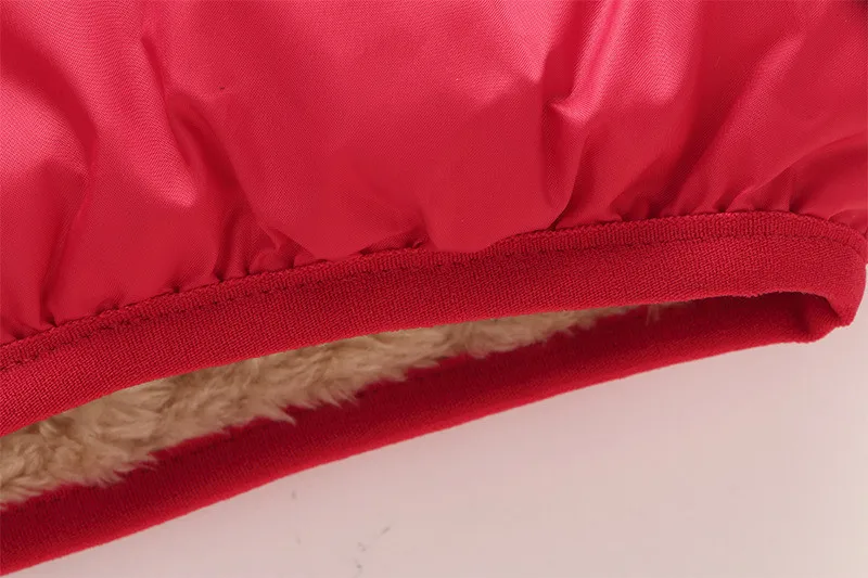 4424740274_249704177