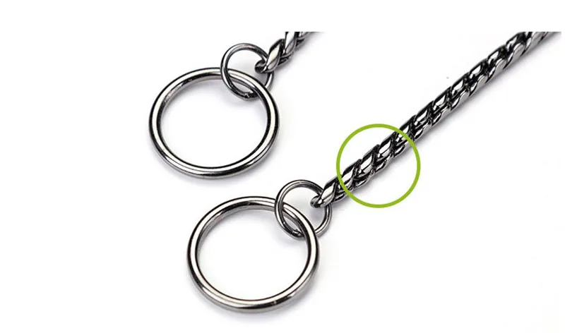 snake chain for dog (10)