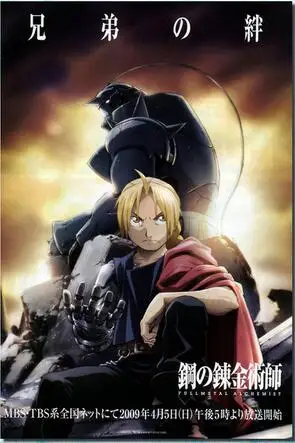 

Fullmetal Alchemist Art Wall Decor Silk Print Poster